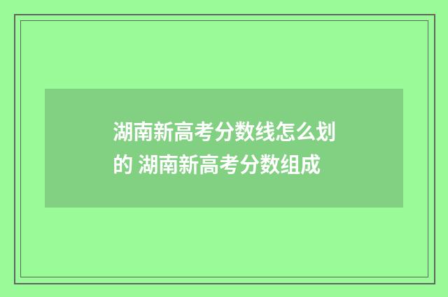 湖南新高考分数线怎么划的 湖南新高考分数组成