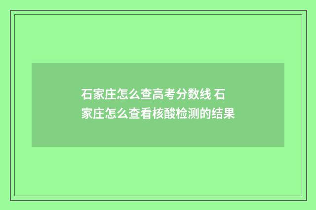 石家庄怎么查高考分数线 石家庄怎么查看核酸检测的结果