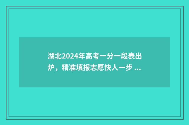 湖北2024年高考一分一段表出炉，精准填报志愿快人一步 2024湖北单招