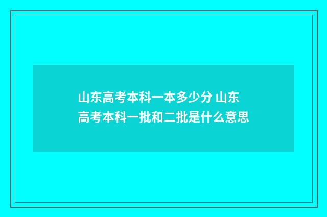 山东高考本科一本多少分 山东高考本科一批和二批是什么意思