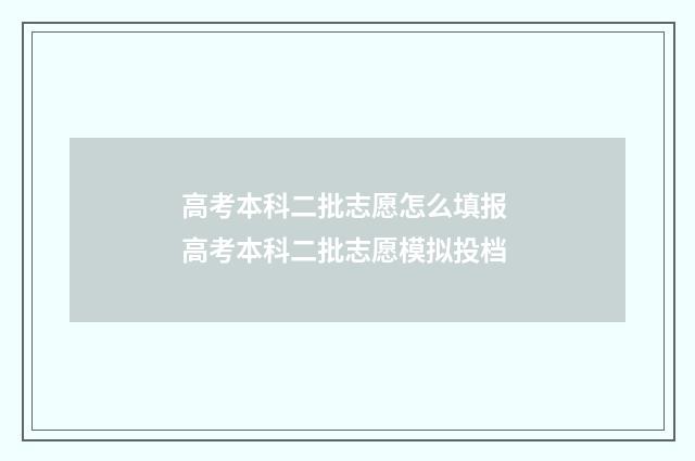 高考本科二批志愿怎么填报 高考本科二批志愿模拟投档