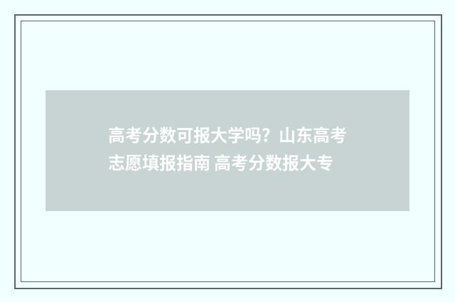 高考分数可报大学吗？山东高考志愿填报指南 高考分数报大专