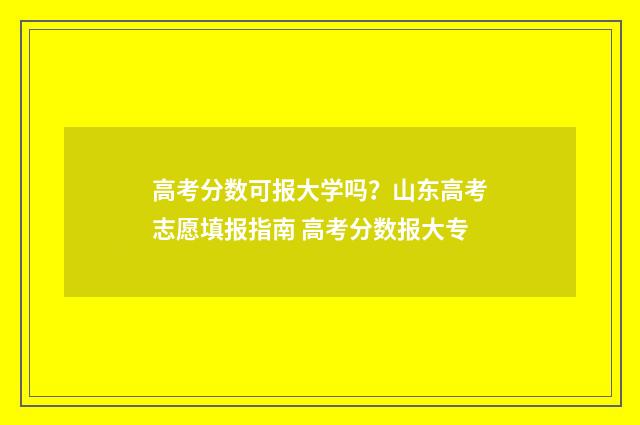 高考分数可报大学吗？山东高考志愿填报指南 高考分数报大专