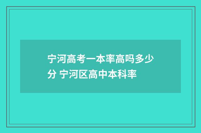 宁河高考一本率高吗多少分 宁河区高中本科率