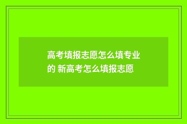 高考填报志愿怎么填专业的 新高考怎么填报志愿