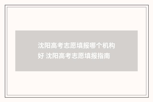 沈阳高考志愿填报哪个机构好 沈阳高考志愿填报指南