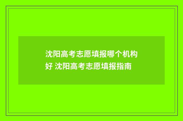 沈阳高考志愿填报哪个机构好 沈阳高考志愿填报指南
