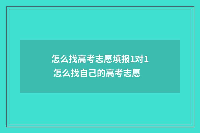 怎么找高考志愿填报1对1 怎么找自己的高考志愿