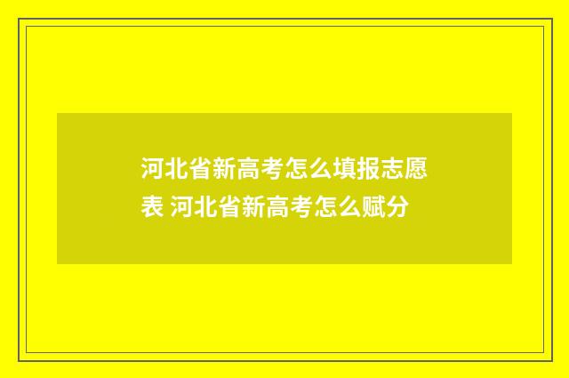 河北省新高考怎么填报志愿表 河北省新高考怎么赋分