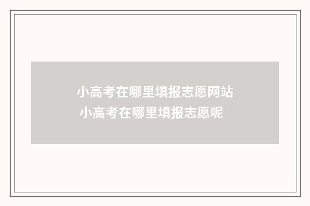 小高考在哪里填报志愿网站 小高考在哪里填报志愿呢