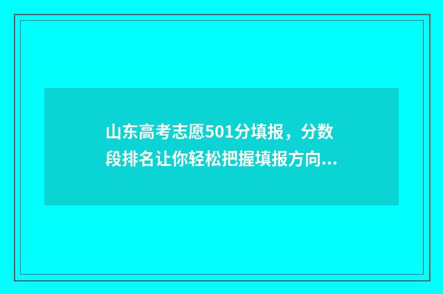 山东高考志愿501分填报，分数段排名让你轻松把握填报方向 山东高考志愿录取规则