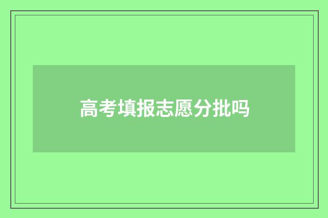 高考填报志愿分批吗