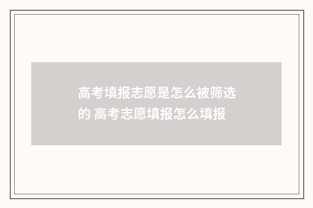高考填报志愿是怎么被筛选的 高考志愿填报怎么填报