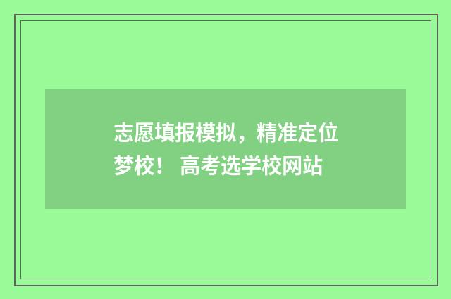 志愿填报模拟，精准定位梦校！ 高考选学校网站