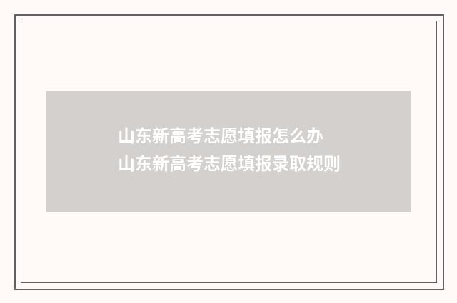 山东新高考志愿填报怎么办 山东新高考志愿填报录取规则