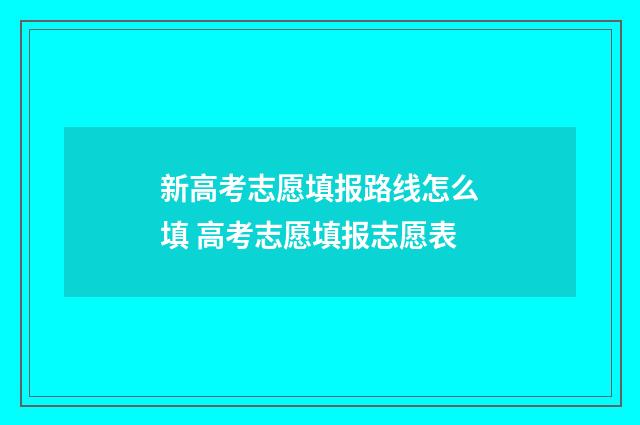 新高考志愿填报路线怎么填 高考志愿填报志愿表