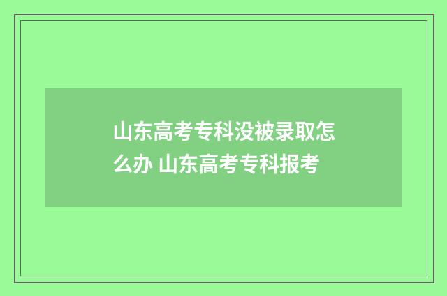 山东高考专科没被录取怎么办 山东高考专科报考