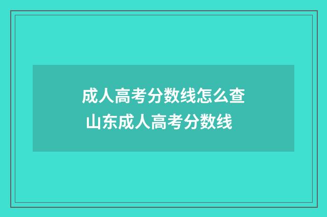 成人高考分数线怎么查 山东成人高考分数线