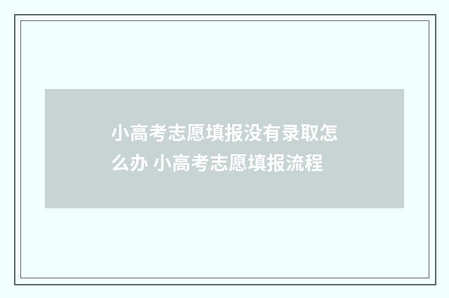 小高考志愿填报没有录取怎么办 小高考志愿填报流程