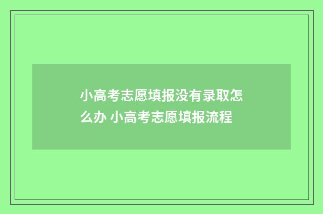 小高考志愿填报没有录取怎么办 小高考志愿填报流程