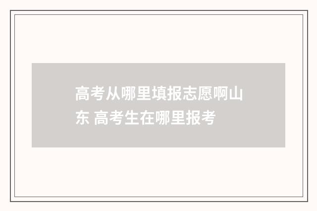 高考从哪里填报志愿啊山东 高考生在哪里报考