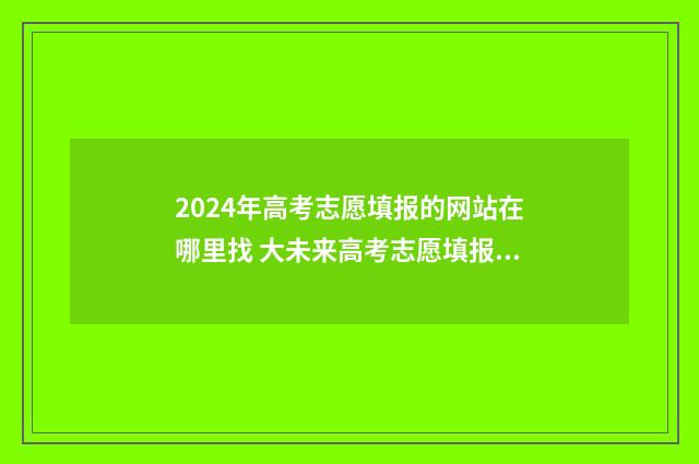 2024年高考志愿填报的网站在哪里找 大未来高考志愿填报官网