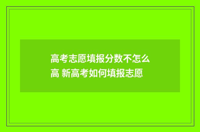 高考志愿填报分数不怎么高 新高考如何填报志愿