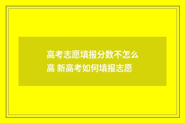高考志愿填报分数不怎么高 新高考如何填报志愿
