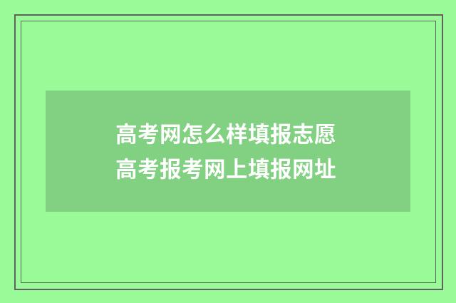 高考网怎么样填报志愿 高考报考网上填报网址