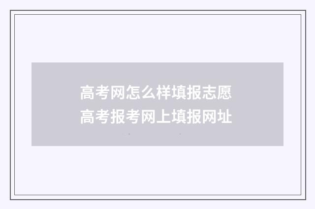 高考网怎么样填报志愿 高考报考网上填报网址