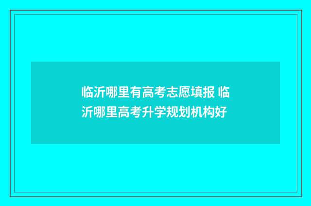 临沂哪里有高考志愿填报 临沂哪里高考升学规划机构好