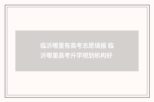 临沂哪里有高考志愿填报 临沂哪里高考升学规划机构好