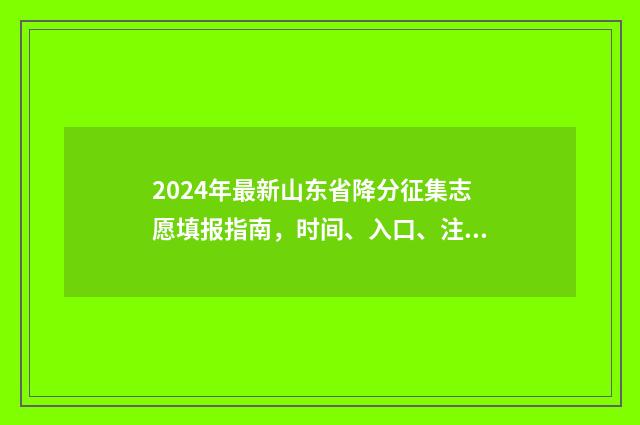 2024年最新山东省降分征集志愿填报指南，时间、入口、注意事项全解析 2024年最新山东省人口与计划生育全文修订