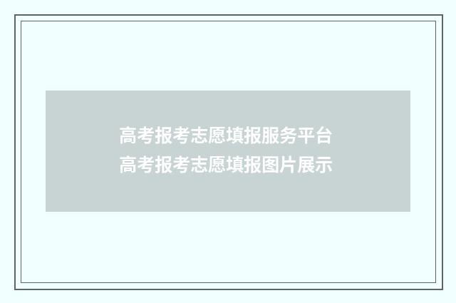 高考报考志愿填报服务平台 高考报考志愿填报图片展示