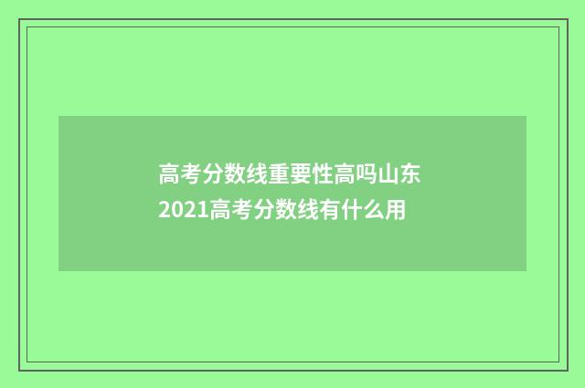 高考分数线重要性高吗山东 2021高考分数线有什么用