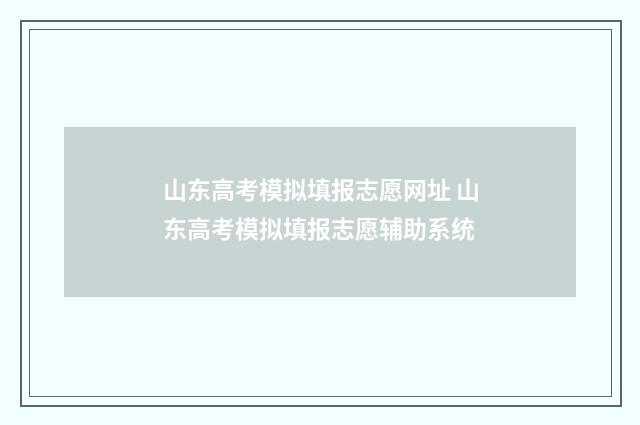 山东高考模拟填报志愿网址 山东高考模拟填报志愿辅助系统