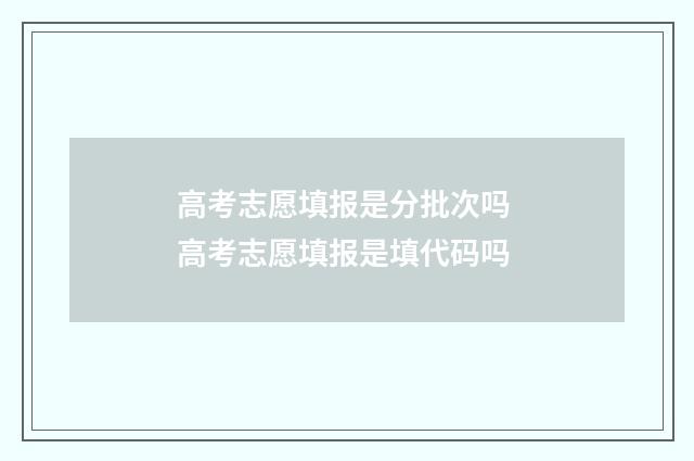 高考志愿填报是分批次吗 高考志愿填报是填代码吗