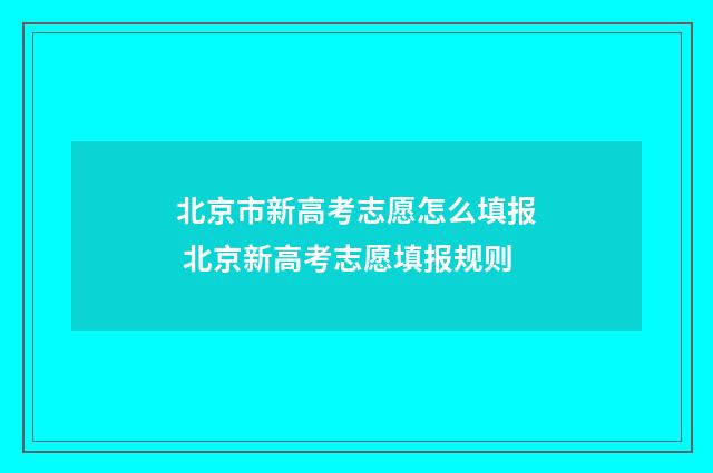 北京市新高考志愿怎么填报 北京新高考志愿填报规则