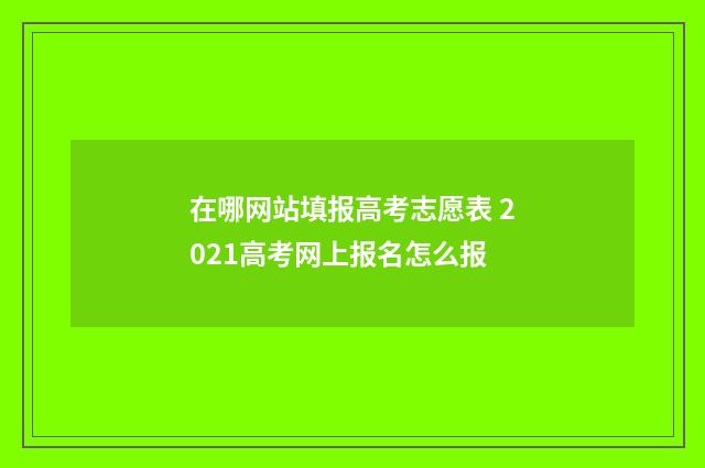 在哪网站填报高考志愿表 2021高考网上报名怎么报