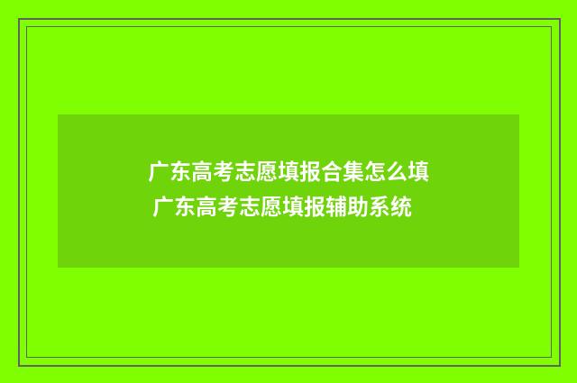 广东高考志愿填报合集怎么填 广东高考志愿填报辅助系统