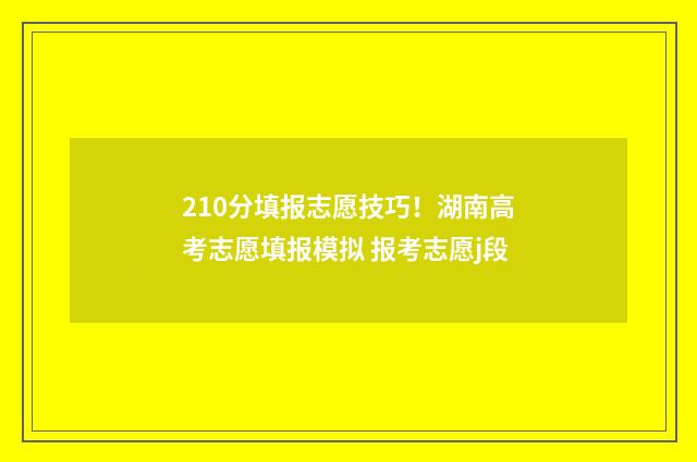 210分填报志愿技巧！湖南高考志愿填报模拟 报考志愿j段