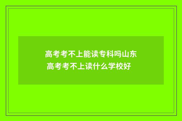 高考考不上能读专科吗山东 高考考不上读什么学校好