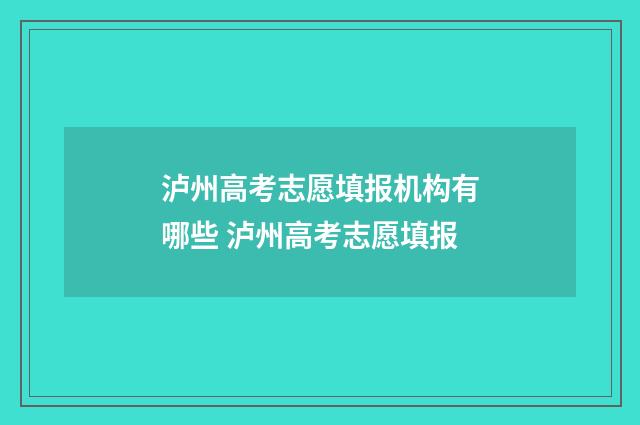 泸州高考志愿填报机构有哪些 泸州高考志愿填报