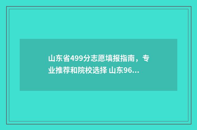 山东省499分志愿填报指南，专业推荐和院校选择 山东96个志愿录取顺序