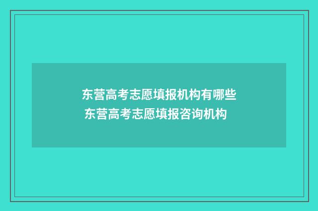 东营高考志愿填报机构有哪些 东营高考志愿填报咨询机构