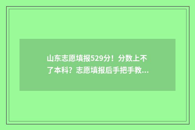 山东志愿填报529分！分数上不了本科？志愿填报后手把手教你冲本科 山东志愿填报辅助系统几点开放