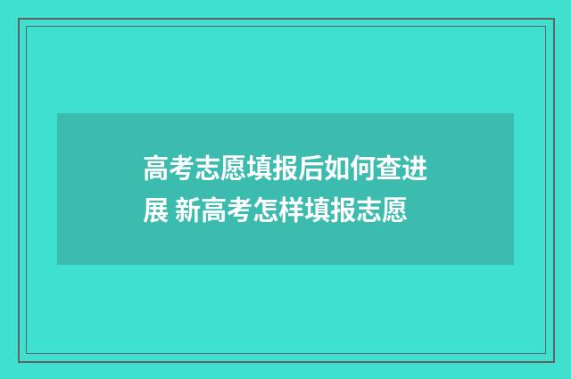 高考志愿填报后如何查进展 新高考怎样填报志愿