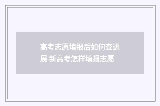 高考志愿填报后如何查进展 新高考怎样填报志愿