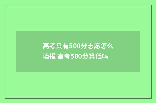 高考只有500分志愿怎么填报 高考500分算低吗