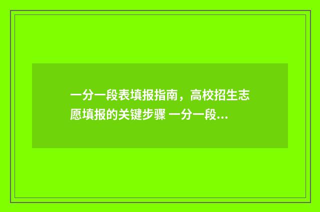 一分一段表填报指南，高校招生志愿填报的关键步骤 一分一段表能干啥